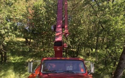 Nothing is Beyond our Reach