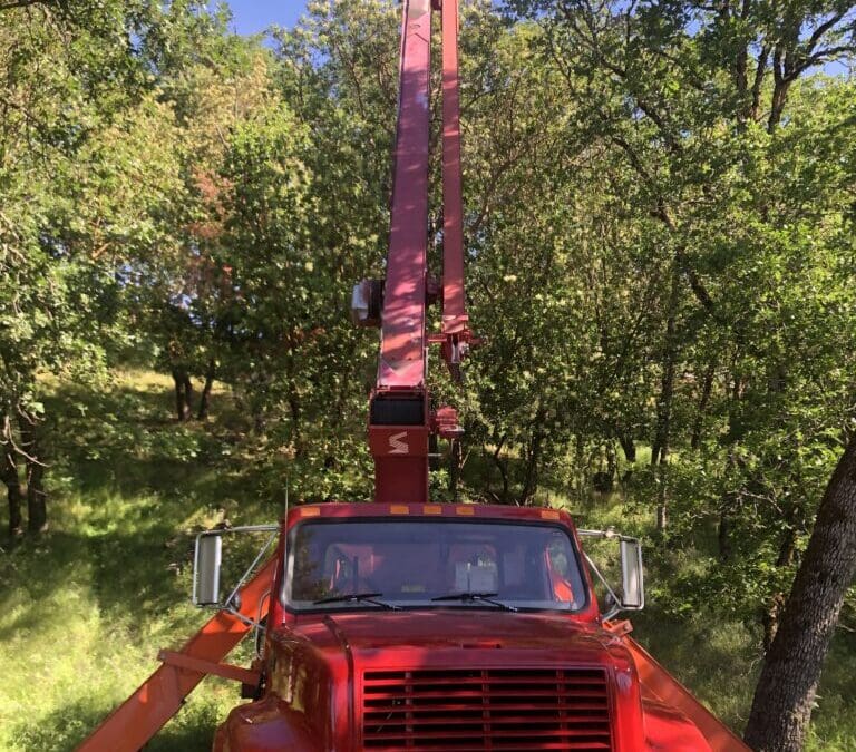 Nothing is Beyond our Reach